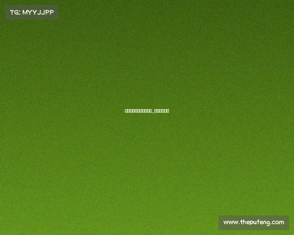 炫石电子竞技俱乐部队员_炫石战队名片